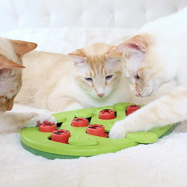 Three cream-colored cats play with a KittyNook Cat Co. Interactive Cat Treat Puzzle on a white surface.